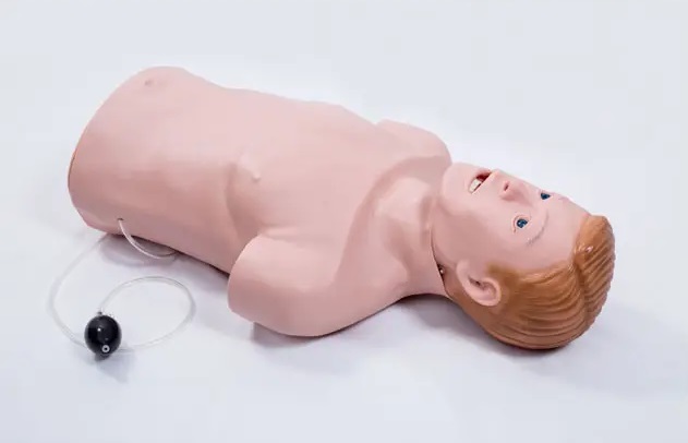 Cart Adult CPR and Intubation Training Manikin Half Body with Monitor 3