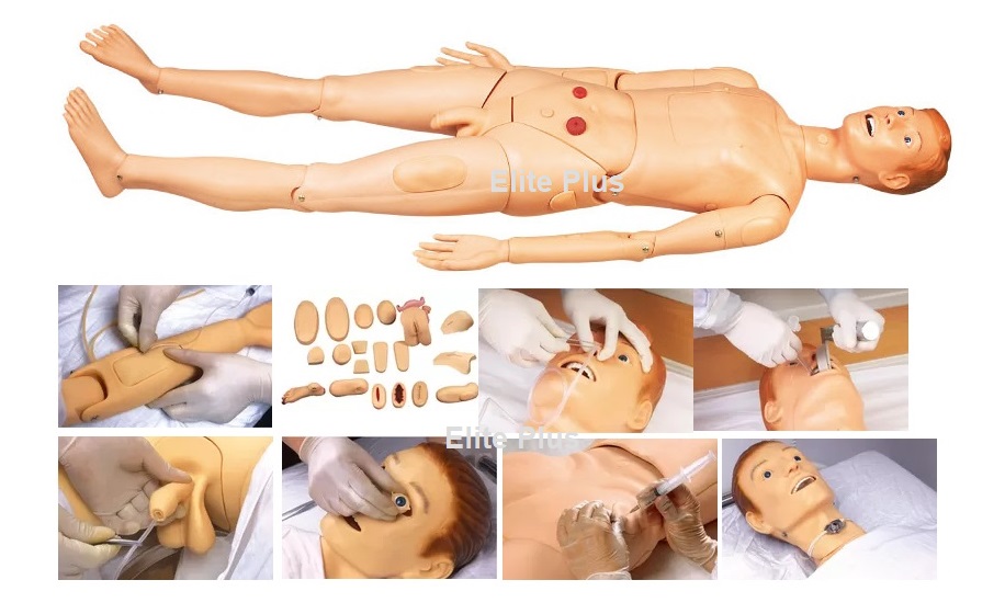 Nursing Manikin cpr training manikin in pune Home GDH120A