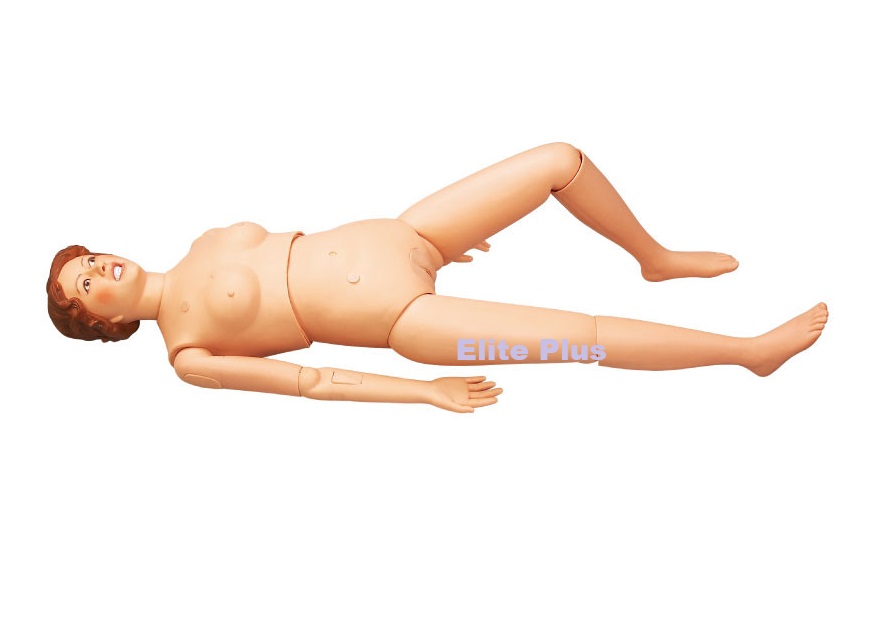 GD/H2 Multifunctional Patient Care Manikin