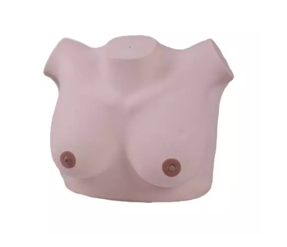 GP-6620 Breast Examination Model