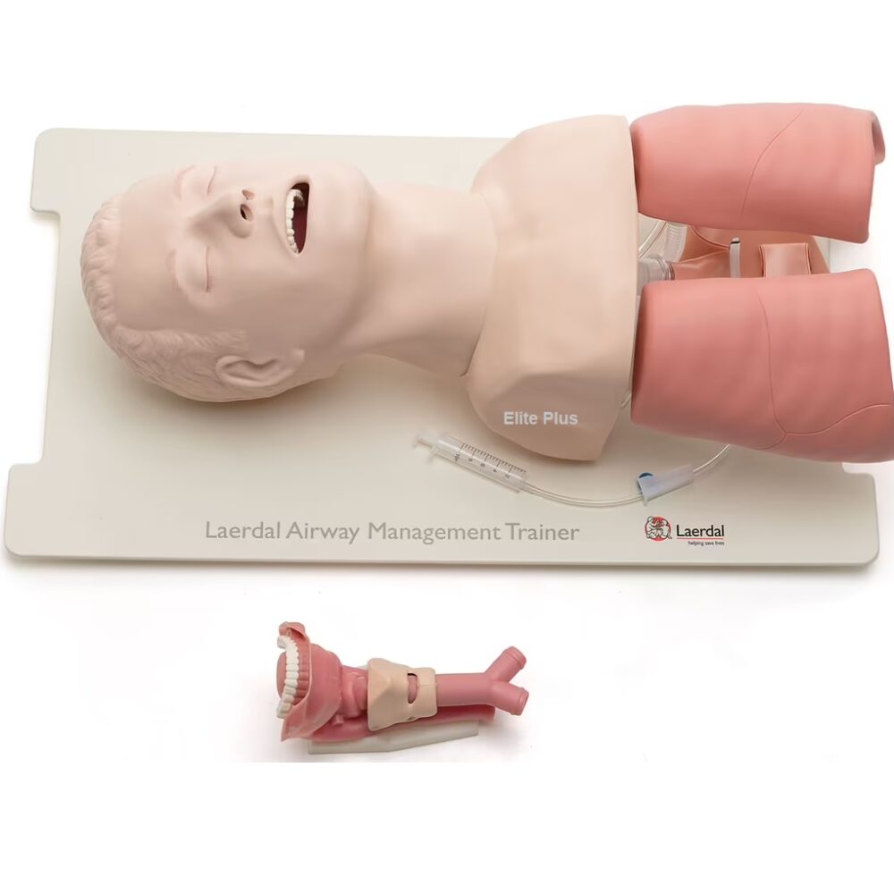 Airway Management Trainer cpr training manikin in pune Home Laerdal Airway Management Trainer 1000x1000