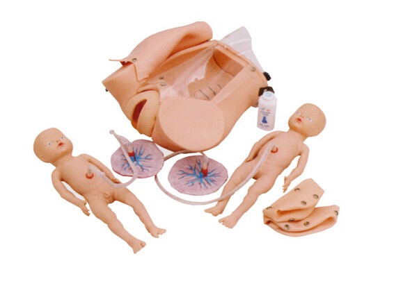 Obstetrics Simulators and Gynecology Simulators cpr training manikin in pune Our Products Obstetrics Simulators and Genecology Simulators 1