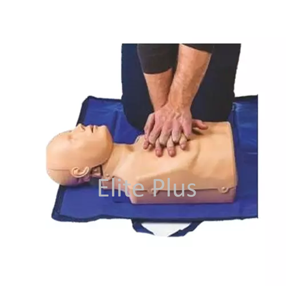 cpr training manikin in pune Home MB001 AD CPR Training Manikin Advance Torso