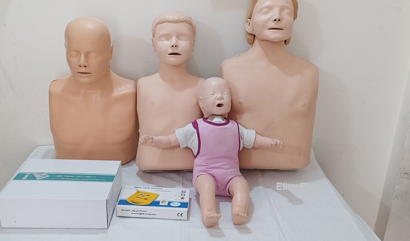 cpr training manikin in pune Home Rental